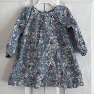Baby Gap Winter Floral Corduroy Dress